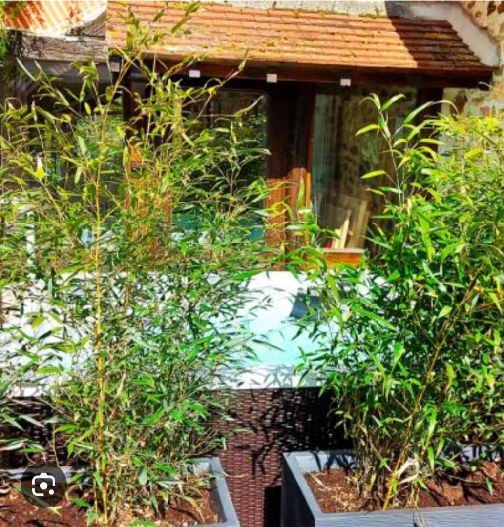 Les 3 Roses Bed & Breakfast Anjouin Exterior photo